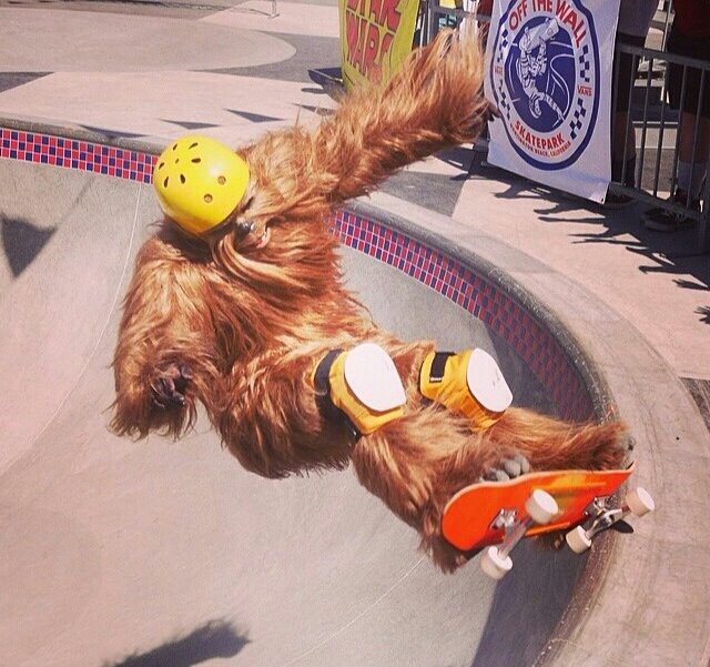 vans, may the 4th be with you, skate, chewbacca, star wars