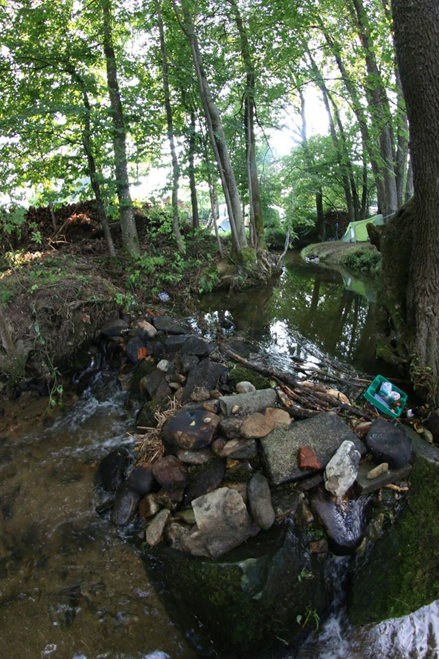 almabtrieb, creek